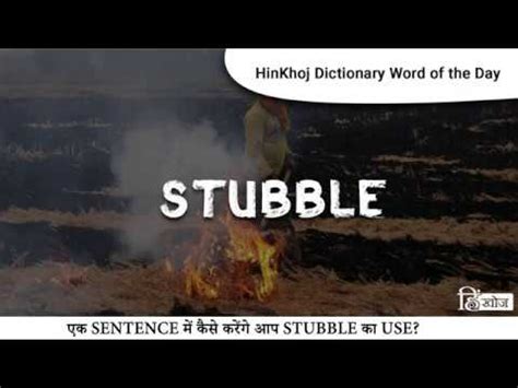 meaning of stubble in hindi